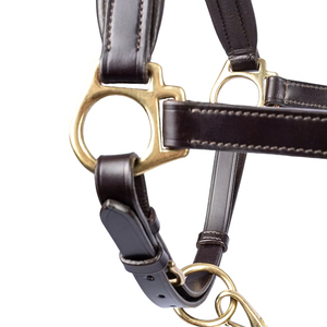 Cabestro para Caballo Estilo Inglés de Alta Calidad, Tamaño Personalizable, Diseño Ajustable y Cómodo - Product Image 2