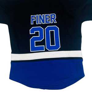 Sweat-shirt à capuche unisexe en coton premium Zeta Phi Beta Black Hockey avec broderie chenille, vêtement de sororité grecque - Product Image 6