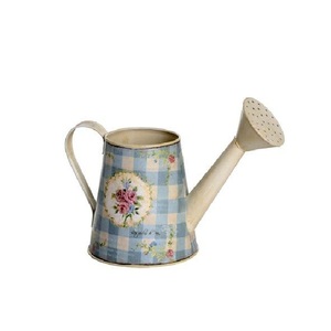 Arrosoir en métal tendance, finition émaillée imprimée, poignée robuste, idéal pour l'entretien des plantes à la maison, dans le jardin ou sur le balcon - Product Image 1