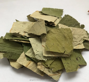 Exportateur Nelumbo Nucifera Leaf en vrac de l'Inde - Product Image 2