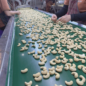 Hot Sale Raw Dried Cashew Nuts Ww240 Ww180 Whole Vietnam Import Private Label Packaging Available - Product Image 1