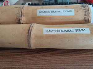 Pôles en bambou naturel solide de haute qualité, origine Vietnam, pour la construction de clôtures de jardin et les projets de décoration intérieure - Product Image 2