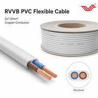 Flaches Flexibles Kupferkabel PVC-Ummantelt 300V 500V Doppeldraht für Innenanlagen und Geräteverkabelung