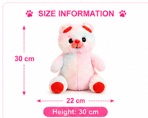 Ours en peluche arc-en-ciel, jouet en peluche doux en velboa, coussin à câliner, cadeau, OEM personnalisé, vente en gros - Product Image 2
