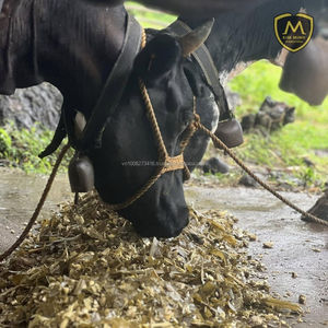Silage de maïs – Aliment haute énergie pour le bétail - Product Image 4