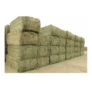 Heno de Alfalfa Orgánico Premium / Heno de Pasto Rhode / Heno de Timothy, Alimento para Animales en Venta - Product Image 5