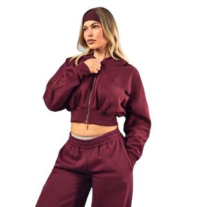 Conjunto de 2 piezas de invierno para mujer: Top corto liso y sudadera con capucha de forro polar grueso, estilo jogger, con logo frontal personalizado, estilo streetwear y corte holgado - Product Image 1