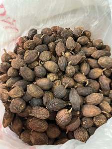 Superior Dried Black Cardamom Premium Spice Binh Thuan Vietnam-VIET DELTA Brand 12-Month Shelf Life for Export Unmatched Quality - Product Image 5