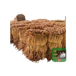 Precio Directo de Fábrica Vietnam: Jacinto de Agua Seco Crudo de 100-120cm de Longitud para el Mercado de Muebles de EE. UU. Venta al por Mayor Barata a Granel - Product Image 4