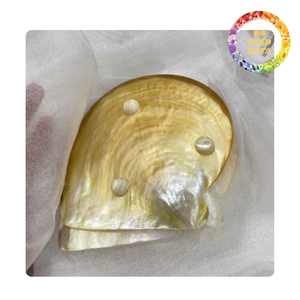 Handmade Mother of Pearl Plate Polished Shell Plate for Luxury Home Decoration and Gift - Product Image 2