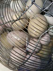 Multi-Use Wire <b>Storage</b> Basket for <b>Eggs</b>, Fruits and Kitchen Essentials - Product Image 4