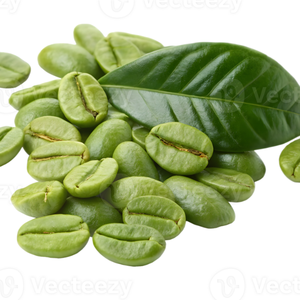 Vietnam Green <b>Robusta</b> <b>Coffee</b> <b>Beans</b> Colored Natural Unroasted Seed Bulk Supply OEM ODM Export Grade 12% Moisture - Product Image 2