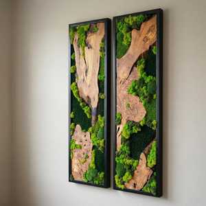 Decoración Moderna con Musgo Preservado, Panel de Madera Natural Artesanal para Pared, Decoración Ecológica de Lujo - Product Image 1