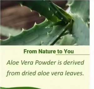 Polvo de Aloe Vera Calmante para la Piel, para Mascarillas Caseras, Ingrediente Hidratante Natural de Proveedor de India al Mejor Precio - Product Image 3