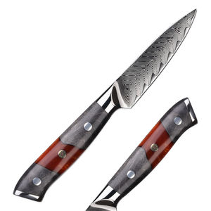 Couteau à éplucher et à usage général en acier Damas à 73 couches, 3,5 pouces - Product Image 1