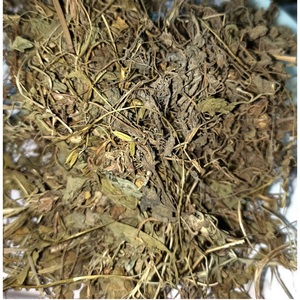 Extracto de Bacopa Monnieri de Grado Premium para Cápsulas Herbales, Tabletas y Productos de Bienestar, Disponible en Grandes Cantidades - Product Image 1