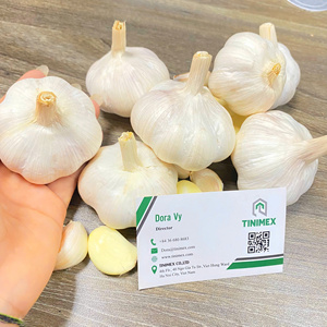 Ajo Vietnamita Fresco Natural, Bulbos Enteros, Calidad Premium, Procesamiento de Alimentos Blancos, Importadores Mayoristas Internacionales, Marca TINIMEX - Product Image 1