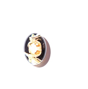 Cabujón de Plástico con Espécimen Real de Cangrejo Ovalado de 12x18 mm sobre Base Plana Negra para Manualidades y Joyería - Product Image 6