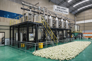 Absolue de Jasmin Grandiflorum en vrac pour fabricants – Qualité parfumerie fine |   Fournisseur d'exportation en gros Inde - Product Image 2