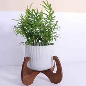 Soporte minimalista de madera para plantas con maceta de hormigón para plantas verdes de interior, diseño moderno, decoración del hogar, soporte de madera para plantas - Product Image 5