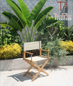 Wayon Modern Foldable Metal Frame Director Lounge <b>Chair</b> with <b>Plastic</b> Legs for Home Office Living Room & Bedroom Furniture - Product Image 2