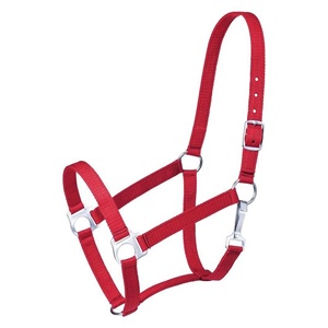 Adjustable Horse Halter Nylon Headcollar <b>Buckle</b> <b>Strap</b> for Riding Training Stable Use Wholesale OEM Manufacturer Direct - Product Image 4