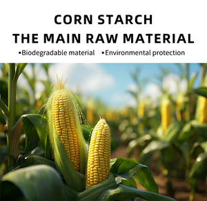 <strong>China's</strong> Environmentally Friendly Paper Tableware-Biodegradable Compostable Corn Starch Plate Bowl Container Food Food
