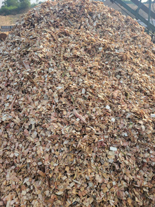 HKD NGUYEN HONG HANH 89 JUMBO Virutas de Madera de Acacia en Saco Grande para Combustible de Biomasa y Producción de MDF - Product Image 6