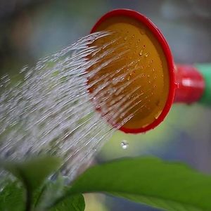 Arrosoir vert 5L, arrosoir de jardin avec pulvérisateur intégré, arrosoir en plastique avec poignée, pulvérisateur d'eau de jardin, multi-usages - Product Image 5
