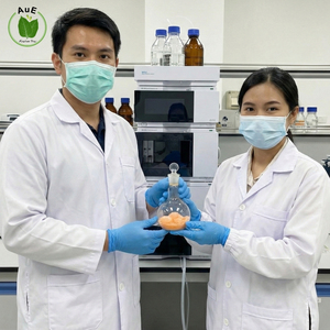 ผงสารสกัดสมุนไพร 7-OH MIT ออร์แกนิกบริสุทธิ์สูง 80% สารสกัดจากพืชปลูกเทียม บรรจุภัณฑ์สุญญากาศ ของแท้จากประเทศไทย ธรรมชาติแท้ - Product Image 2