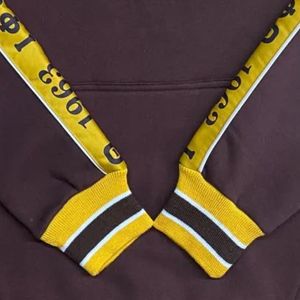 เสื้อฮู้ดทรงสอบตัวรุ่น Iota Phi Theta สีน้ำตาลทอง พรีเมียม แบรนด์ Centaurs เสื้อผ้ากรีกสำหรับสมาคมนักศึกษา ดีไซน์ทันสมัย - Product Image 4