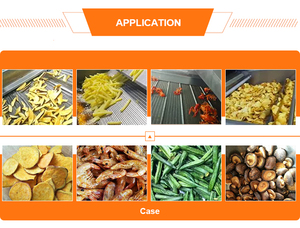 Proveedor de China Freidora comercial Freidora eléctrica de gas Freidora continua de gas - Product Image 6
