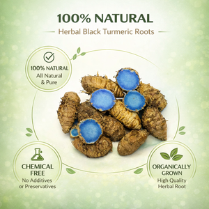 ขมิ้นดำบริสุทธิ์ (Curcuma Caesia) รากสมุนไพรธรรมชาติพรีเมียม สำหรับการใช้งานตามหลักอายุรเวท สมุนไพรแผนโบราณ และการดูแลสุขภาพ - Product Image 6