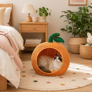 Nichoir décoratif en rotin fait main en forme de citrouille pour chat, lit durable tressé pour petits animaux, utilisation intérieure - Product Image 5