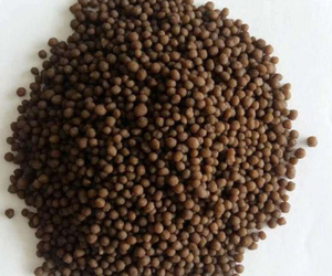 Engrais granulaire au phosphate DAP 18-46, prix compétitif et expédition rapide pour l'agriculture, type TSP - Product Image 6