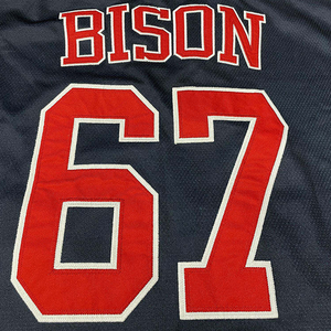 Jersey de Hockey sobre Hielo Sublimado Personalizable con Números y Nombres de Equipo - Alta Calidad, 100% Poliéster, Antibacteriano y Transpirable - Product Image 4