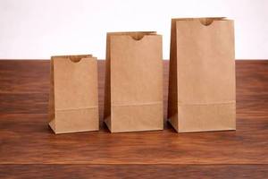 Brown Kraft Paper Shopping <b>Bag</b> with Custom Logo Biodegradable & Durable Eco-Friendly Thick <b>White</b> Twisted Handle Gift <b>Bag</b> - Product Image 4