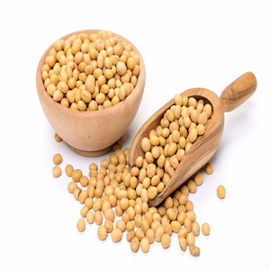 Soja GMO de Primera Calidad al por Mayor para Fabricantes de Alimentos, Aceiteras y Compradores Internacionales - Product Image 1