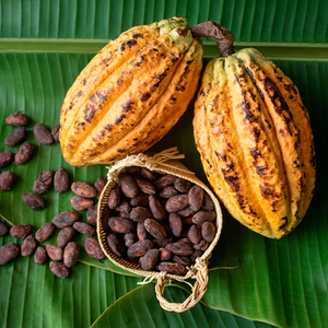 GRANOS DE CACAO SECOS |   ORIGEN VIETNAMITA |   FERMENTADO |   Secado al sol |   ELABORACIÓN DE CHOCOLATE/ SRA. ALINA - Product Image 2