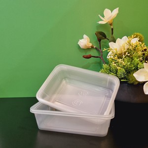 Nouveau modèle 2026 – Boîte en plastique rectangulaire jetable à prix d'usine pour aliments/fruits/salades avec couvercle transparent et logo personnalisé - Product Image 3