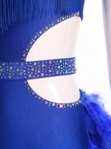 Traje de Danza Contemporánea y Lírica para Mujer, Vestido con Falda, Body, Leotardo, Mono, para Rumba, Samba, Actuaciones y Competiciones - Product Image 4