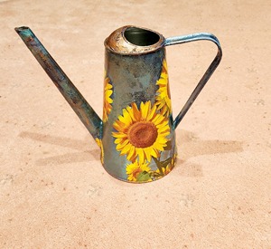 Arrosoir artisanal en métal fait main avec long bec, outil de jardinage pour plantes d'intérieur et d'extérieur, décoratif - Product Image 5