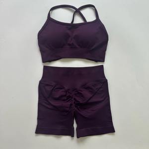 Ropa Deportiva de Gimnasio Personalizada de Alta Calidad, Sin Costuras, de 2 Piezas, Sin Mangas, con Cintura Elástica - Product Image 1