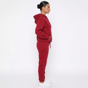 Custom <b>Women</b> Winter Solid Casual Hooded Tracksuit Athletic Fit <b>Jogger</b> Set 2 in 1 Design Custom Logo Heavyweight <b>Fleece</b> - Product Image 2