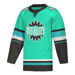 Maillot de hockey sur glace Vitality pour homme, manches longues, impression sublimée, polyester respirant, coupe classique, vêtements pour adultes - Product Image 1