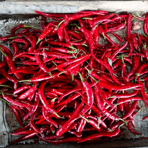 Chiles Rojos Enteros Indios de Primera Calidad de Nueva Temporada con un Vibrante Color Rojo Natural, Picanteza Intensa y Empaque a Granel para Exportación Global - Product Image 1
