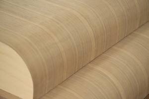 Porte Panneau Long Viet avec Garantie 1 An - Chêne Massif Contreplaqué Écologique, Autre Pièce de Mobilier Moderne Vietnamienne en MDF + Placage - Product Image 5