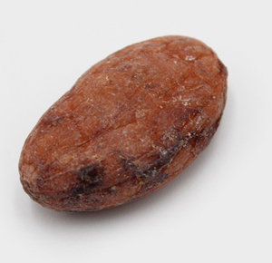 Granos de <span class=keywords><strong>Cacao</strong></span> Orgánicos Tostados y Secados al Sol en Bolsas de 50 kg, Marca Personalizada de Alemania, 2 Años - Product Image 4