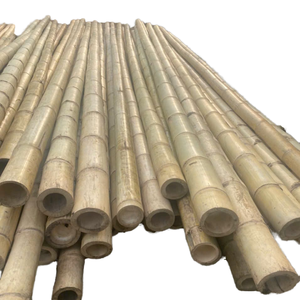 เสาไม้ไผ่ที่มีความแข็งแรงสูงสำหรับใช้ในงานเกษตรและโครงสร้างกลางแจ้งผลิตภัณฑ์วัตถุดิบจากไม้ไผ่ - Product Image 1