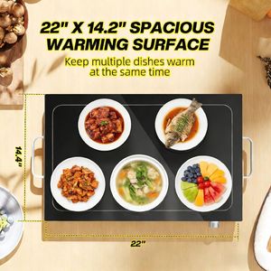 Vassoio Riscaldante Elettrico per Catene di Fast Food, Catering Aeroportuale e Buffet con Controllo Manuale della Temperatura - Product Image 5